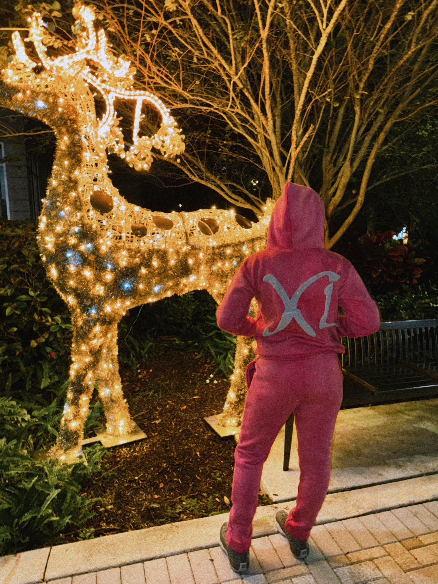 Acid Wash Chrome Hoodie (Pink)